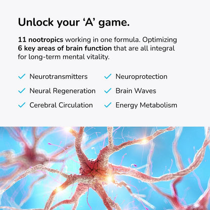 Nootropic Brain Booster Supplement 60 Count Plant Based Memory Vitamins Mind